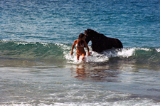 Costa Rica-Caribbean Coast-Caribbean Border Trail Adventure